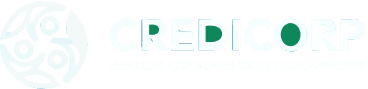 CREDICORP — Nigerian Consumer Credit Corporation